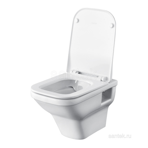SANTEK Унитаз ПОДВЕСНОЙ Santek Лайн сиденье дюропласт с функц.мягк.закрыв.,выпуск горизонт, rimless