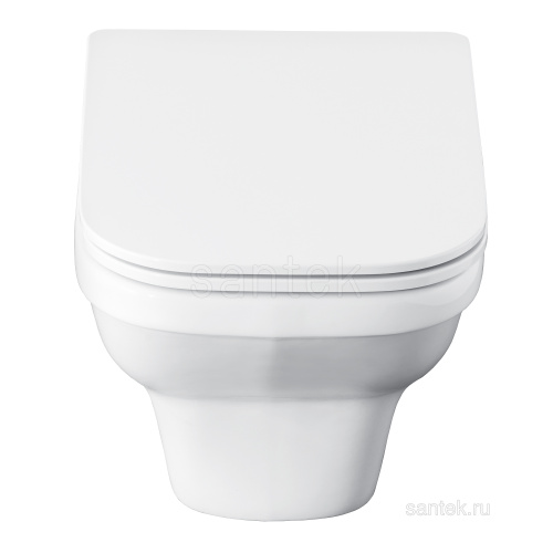 SANTEK Унитаз ПОДВЕСНОЙ Santek Лайн сиденье дюропласт с функц.мягк.закрыв.,выпуск горизонт, rimless