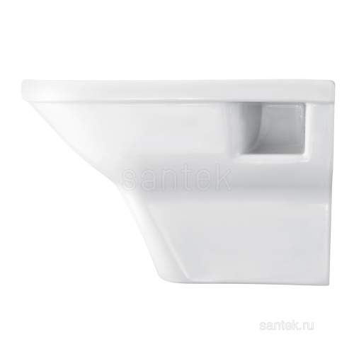 SANTEK Унитаз ПОДВЕСНОЙ Santek Лайн сиденье дюропласт с функц.мягк.закрыв.,выпуск горизонт, rimless