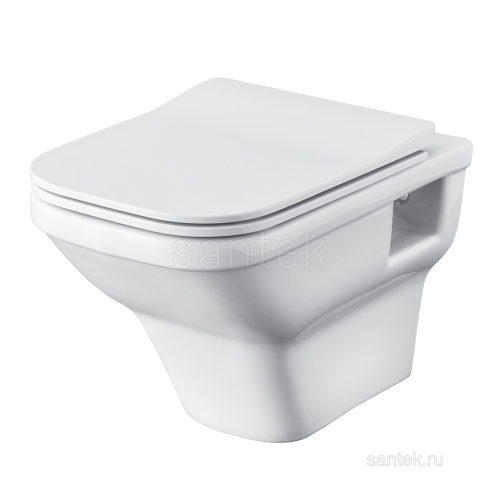 SANTEK Унитаз ПОДВЕСНОЙ Santek Лайн сиденье дюропласт с функц.мягк.закрыв.,выпуск горизонт, rimless