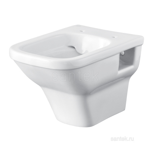 SANTEK Унитаз ПОДВЕСНОЙ Santek Лайн сиденье дюропласт с функц.мягк.закрыв.,выпуск горизонт, rimless